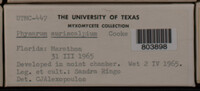 Image Associated With the Occurence